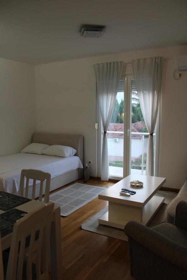 Delta Studio Apartman Podgoriţa Exterior foto